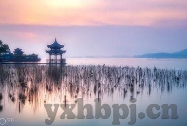 91麻豆视频在线-娱乐选择的多样性，关于网上视频内容消费的思考