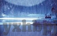 国产成人视频在线-国产成人视频在线，文化、伦理与法律边界的探讨