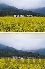 果冻传媒潘甜甜七夕-七夕之恋，果冻传媒潘甜甜与浪漫的邂逅