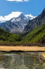麻豆传媒在线下载-麻豆传媒，内容泛滥的数字时代虚幻