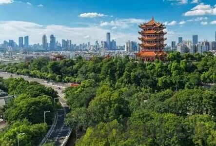 麻豆媒体传媒-麻豆媒体传媒，影像艺术的革新与实践