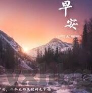 哪个网站可以看成人视频-探索成人视频的观看平台，选择与考量