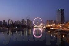 人妻操-探寻人妻操背后的文化与情感交织