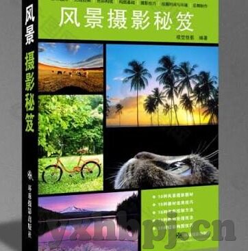 糖心app会员一个月-甜蜜与选择，糖心App会员一个月的体验之旅