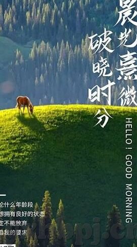 糖心vlog桥本香菜教师-糖心vlog，桥本香菜的教师风采